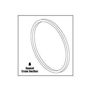 Gasket, Door Amsco/Steris Dynaclave 613R Part: P754874091/AMG004