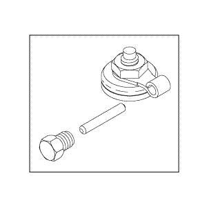 Valve, Check Rebuild Amsco/Steris Bulk Sterilizer Part:10278091/AMK230