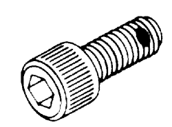 1/4-28 Socket Head Cap Screw W/ Nylon Pellet Amsco/Steris - AMS049