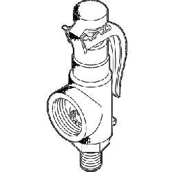 Safety Valve (100 PSA) Amsco/Steris Washers & Endoscopes - AMV150