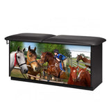 Clinton 7947 Adventure Series Equestrian Treatment Table, Pediatric