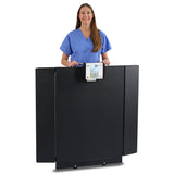BRW1000 - Detecto - Portable High-Capacity Wheelchair Scale