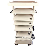 Karl Storz 9601 Endoskope Tower, Pre-Owned