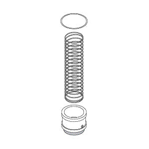 Valve, Check Repair Getinge/Castle Sterilizer Part: 513700/CSK065