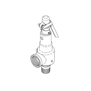 Valve, Safety Relief Castle Bulk Sterilizer Part: 56913/CSV033