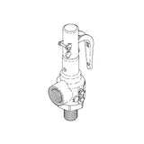 Valve, Safety 45PSI Castle Sterilizer/Washer Part:61301608100/CSV084