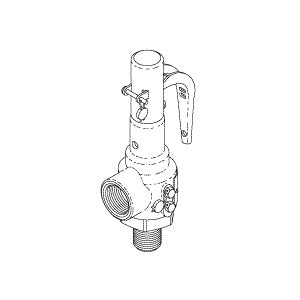 Valve, Safety 45PSI Castle Sterilizer/Washer Part:61301608100/CSV084