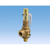 Valve, Safety 45PSI Castle Sterilizer/Washer Part:61301608100/CSV084