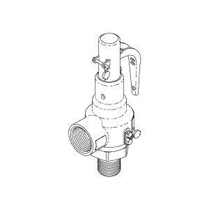 Valve, Safety Getinge/Castle Bulk Sterilizer Part: 61301601576/CSV085