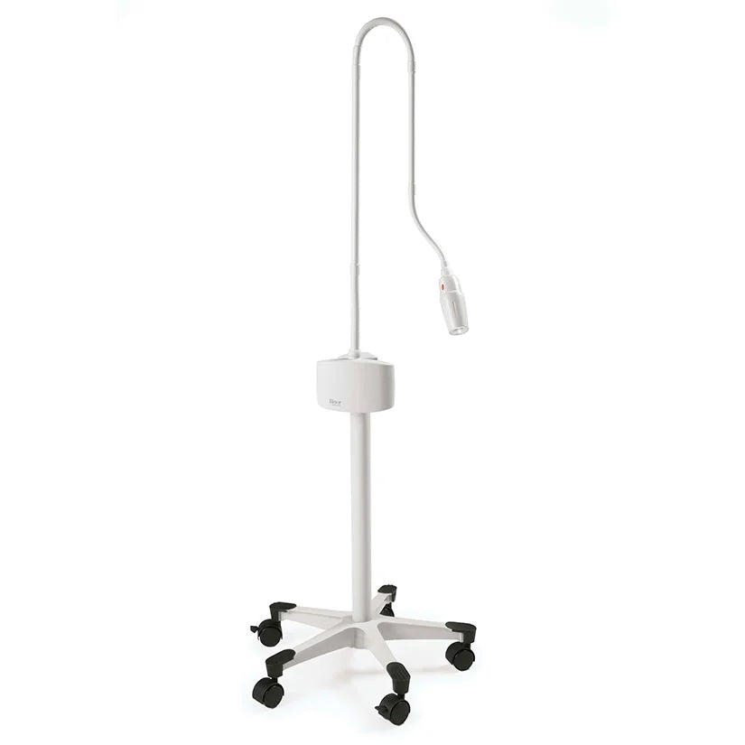 Ritter 253 Series LED Exam Light with various mounting options