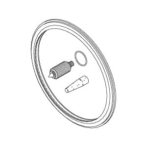 Gasket, PM Kit Pelton Crane Sentry Autoclave Part: 000187/PCK217