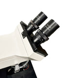 Seiler Microlux Compound Microscope, Pre-Owned